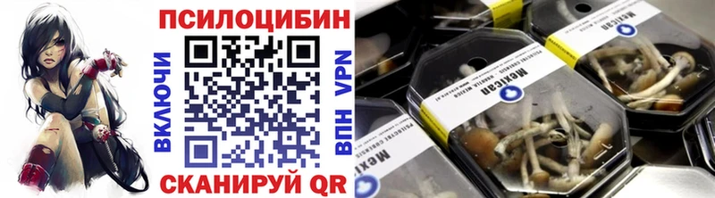 Купить Жиздра Псилоцибиновые грибы Psilocybine cubensis