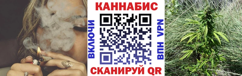 Шишки марихуана марихуана  Купить закладки  Жиздра 